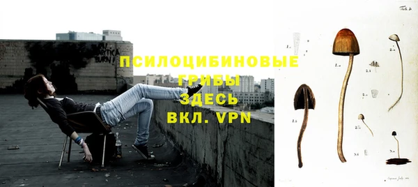 амф Новокубанск