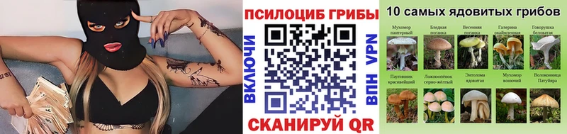 Галлюциногенные грибы ЛСД  Купить закладки  Тогучин 