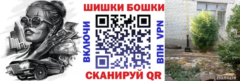 Бошки Шишки семена Тогучин