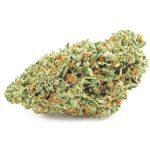 Шишки OG Kush  (Гидропоника, бошки) VHQ в Тогучине